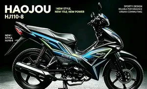 Nouveau Haojue HJ110T-8 2024 Autre