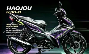 Nouveau Haojue HJ110T-8 2024 Autre
