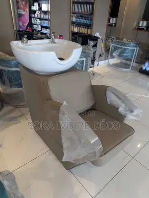 Lave Tête Professionnel Confortable