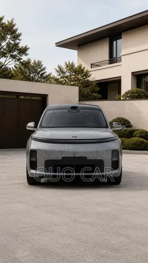 Nouveau Li Auto L9 1.5 Hybrid AWD 2025 Gris