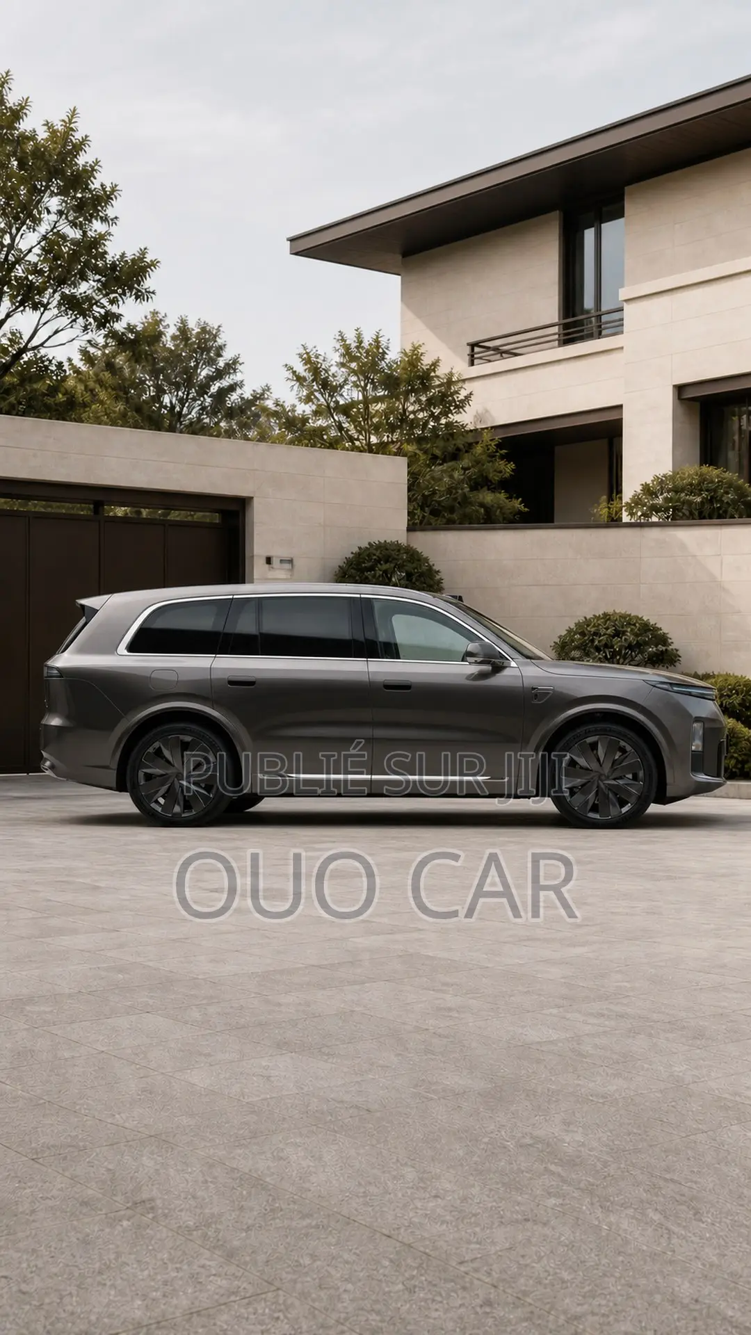 Nouveau Li Auto L9 1.5 Hybrid AWD 2025 Gris