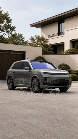 Nouveau Li Auto L9 1.5 Hybrid AWD 2025 Gris