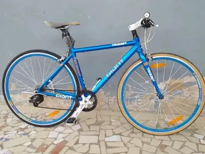 VTT Pour Adulte
