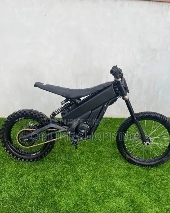 Vélo Électrique