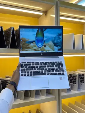 Nouveau HP ProBook 430 G7 8GB Intel Core i3 SSD 256GB