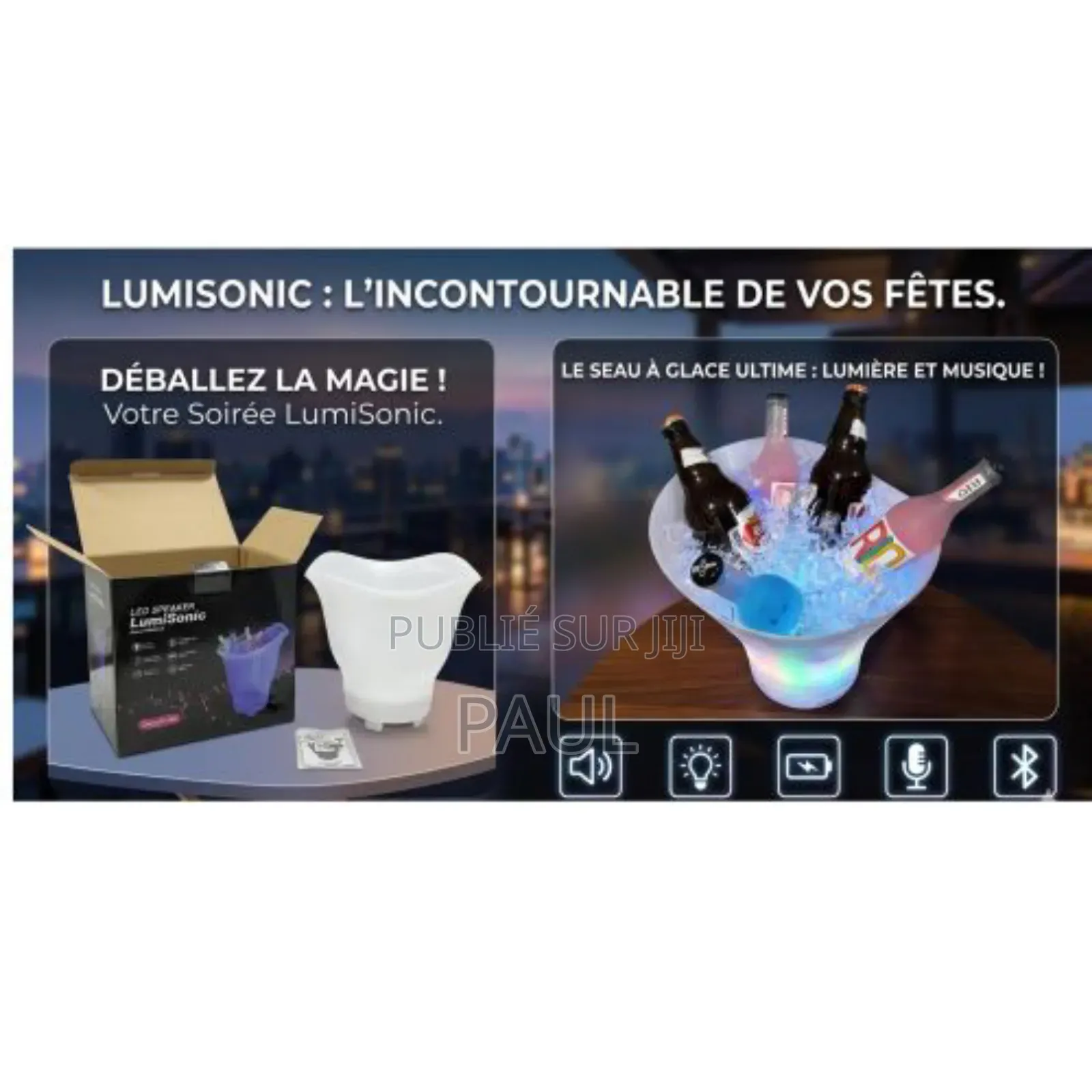 Sceaux De Glace Lumineux a Haut Parleur