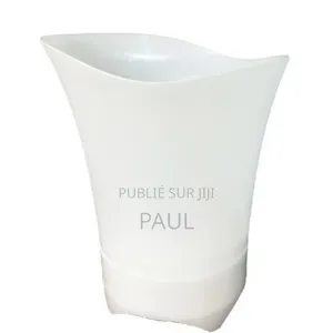 Sceaux De Glace Lumineux a Haut Parleur