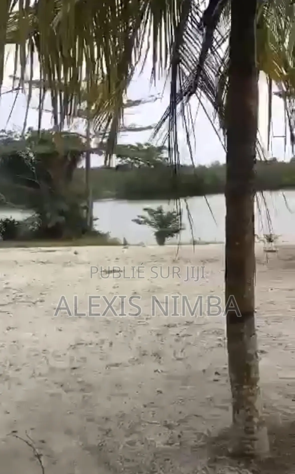 En Vente 6000m2 Assinie Mafia Km19 Pieds Dans Lagune Avec ACD