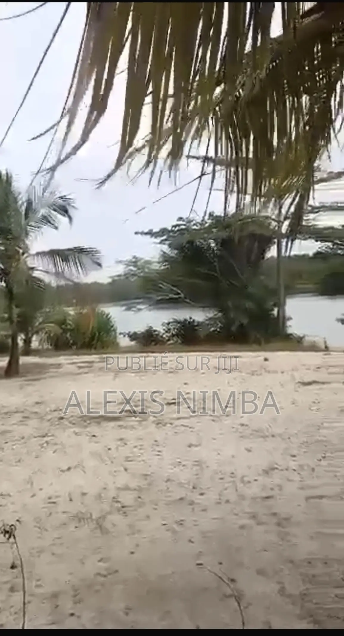 En Vente 6000m2 Assinie Mafia Km19 Pieds Dans Lagune Avec ACD