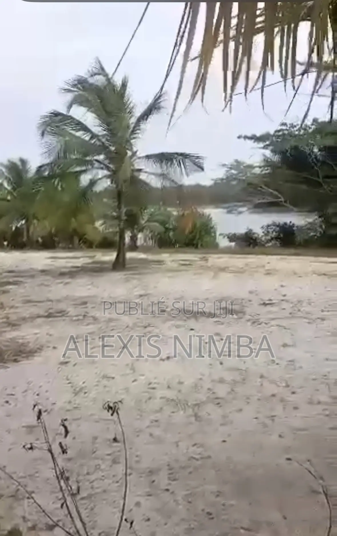 En Vente 6000m2 Assinie Mafia Km19 Pieds Dans Lagune Avec ACD