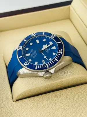 Montre  Tudor