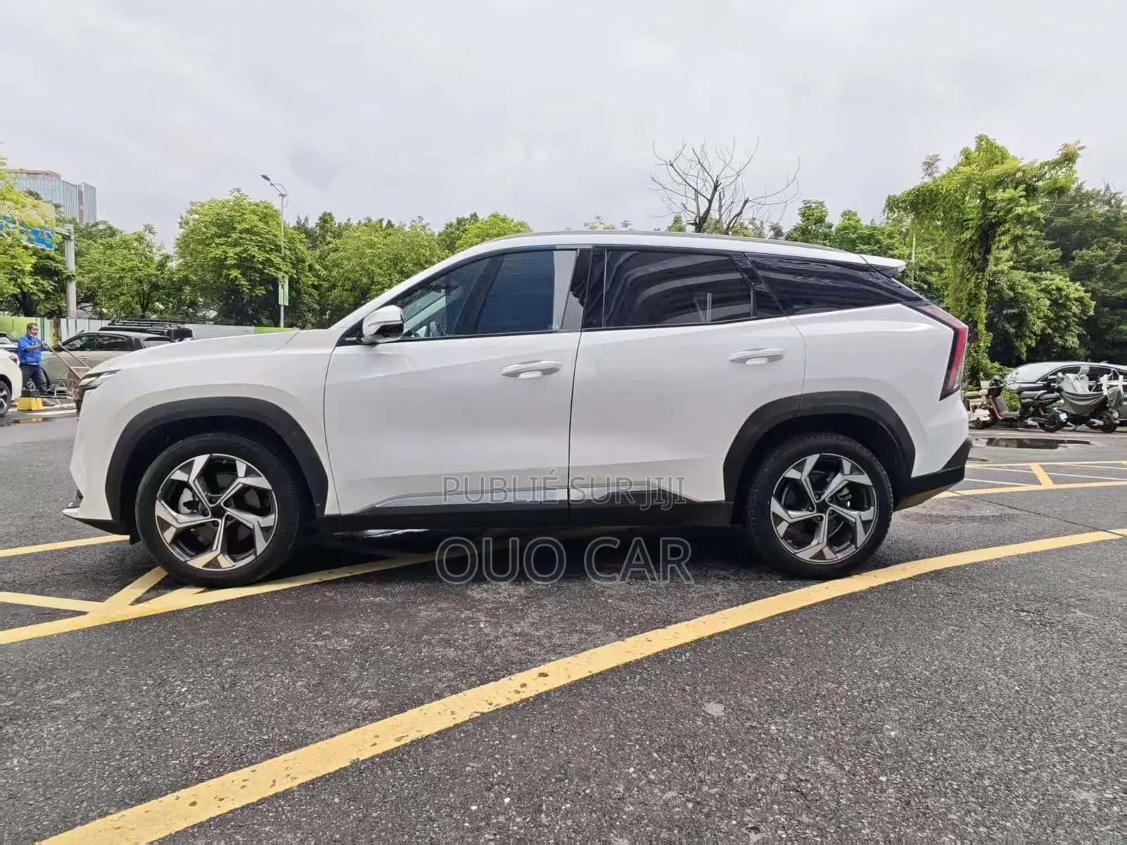 Geely Boyue 2024 Blanc