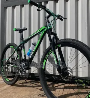 Vélo Électrique