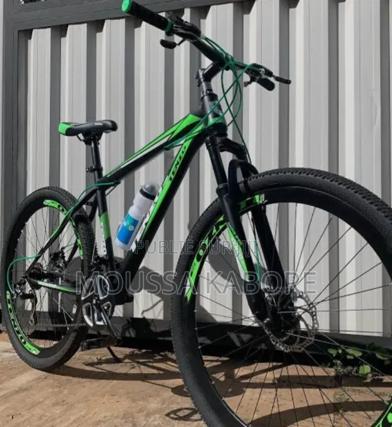 Vélo Électrique