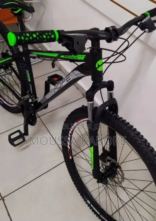 Vélo Électrique