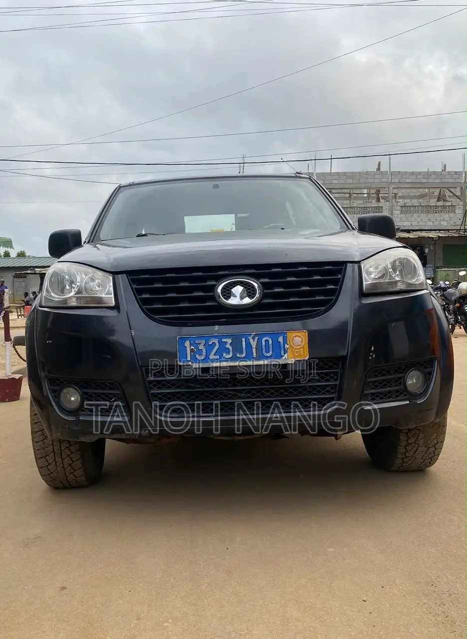 Great Wall Wingle 2021 Noir