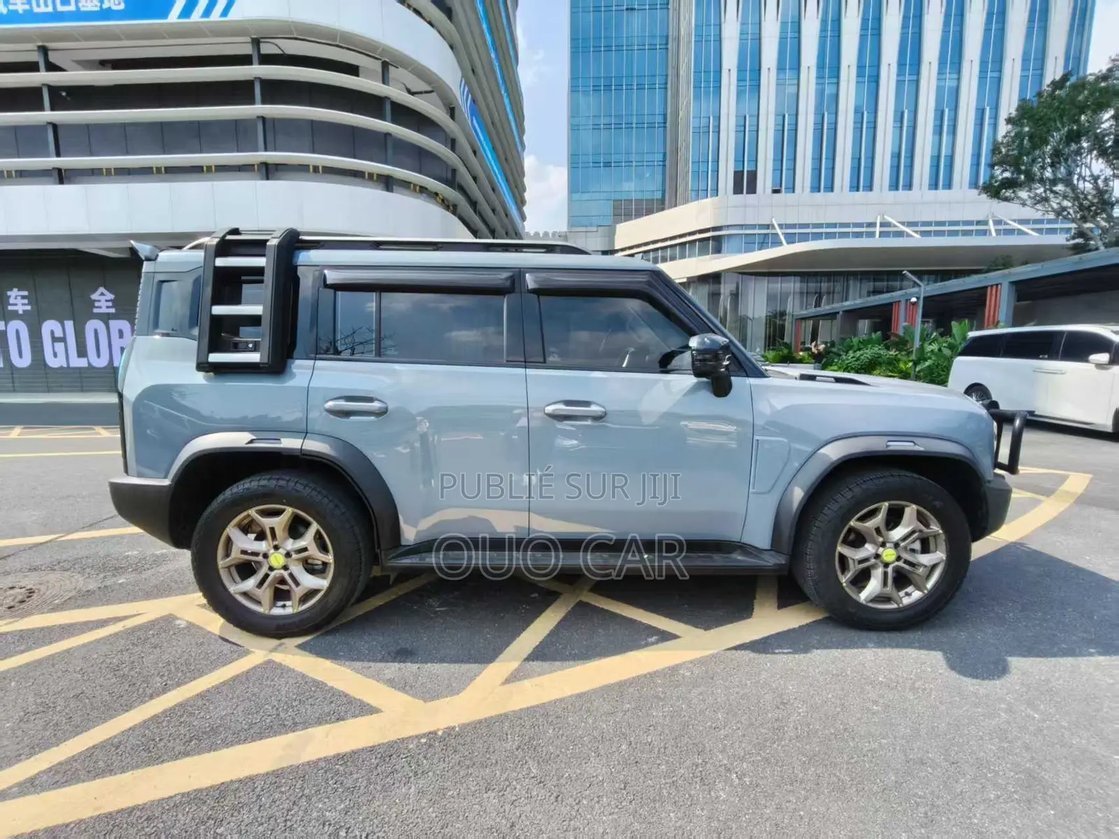 Jetour T2 2.0 Petrol AWD 2023 Gris