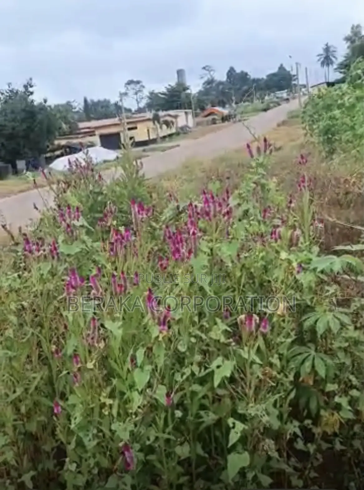 TERRAIN À VENDRE – SIKENSI NOUVEAU GOUDRON Sikensi – Nouveau