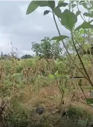TERRAIN À VENDRE – SIKENSI NOUVEAU GOUDRON Sikensi – Nouveau