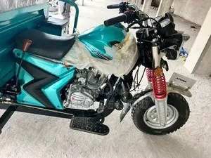 Nouveau Tricycle Autre 2025 Bleu