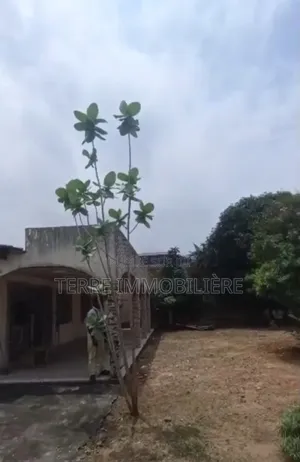 3chbre Villa dans La Terre Immobilière, Cocody à Louer