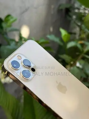 Nouveau Apple iPhone 12 Pro Max 128 GB Gris