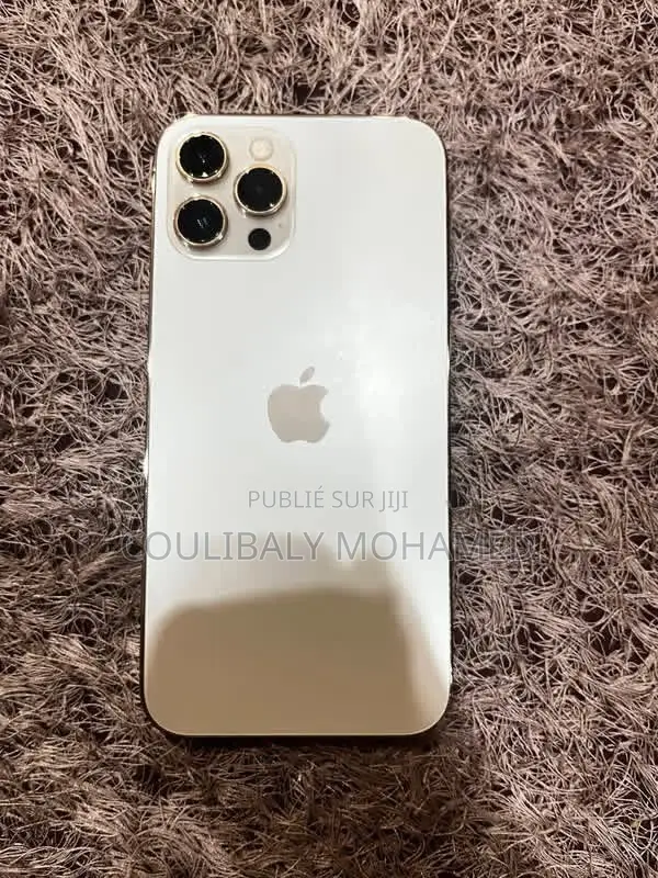 Nouveau Apple iPhone 12 Pro Max 128 GB Gris