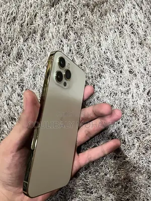 Nouveau Apple iPhone 12 Pro Max 128 GB Gris