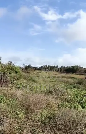 Terrain 1000m2