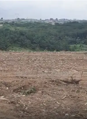  OPPORTUNITÉ FONCIÈRE À ÉBIMPÉ   À Seulement 500 M De