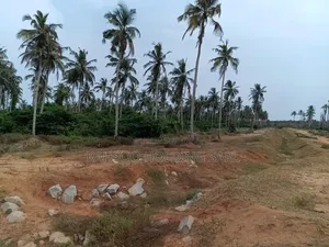 Terrain De 1HA 92A 40CA, Avec ACD, en Vente, Autoroute Bassam-Assinie
