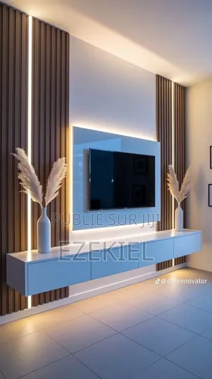 Télévision