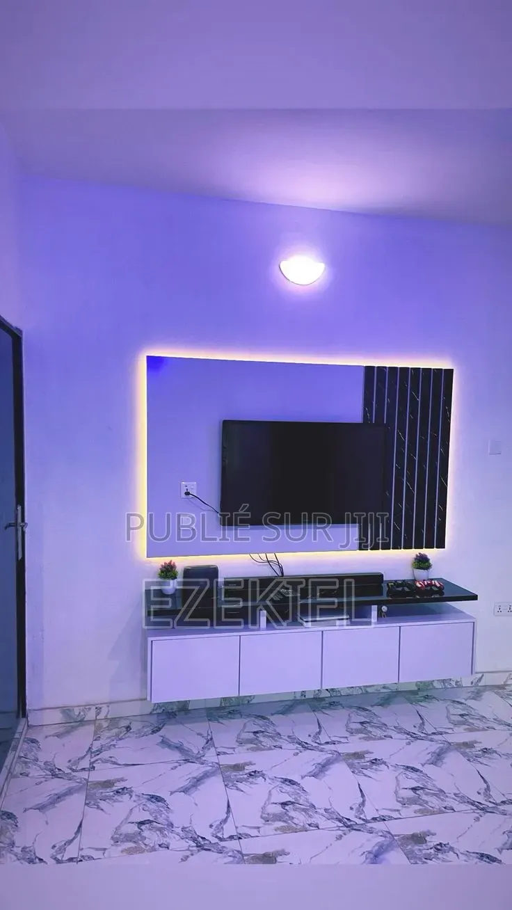 Télévision