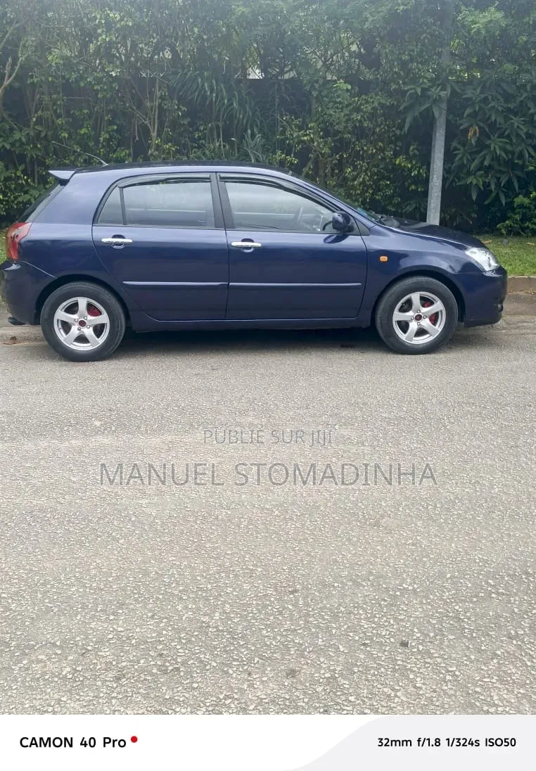 Toyota Corolla 2005 Bleu