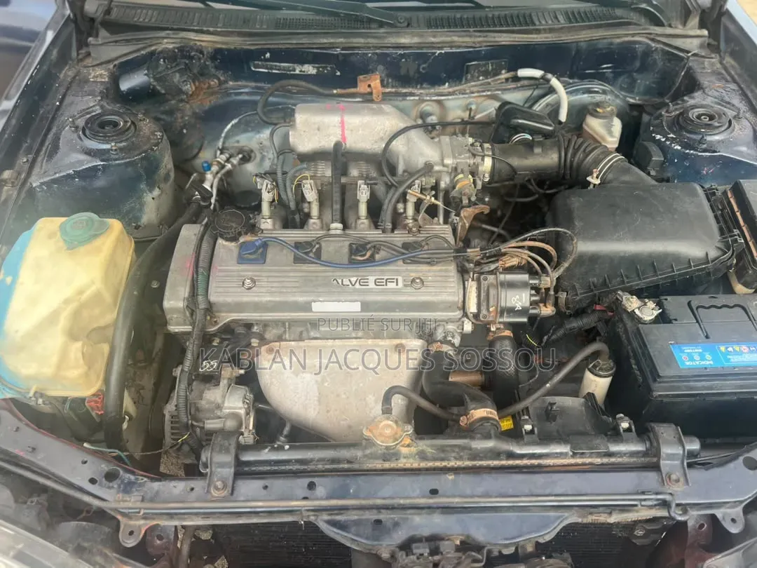 Toyota Corolla 2002 Bleu