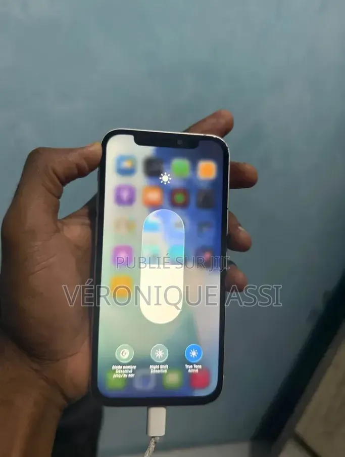 Nouveau Apple iPhone 12 Pro Max 256 GB Blanc