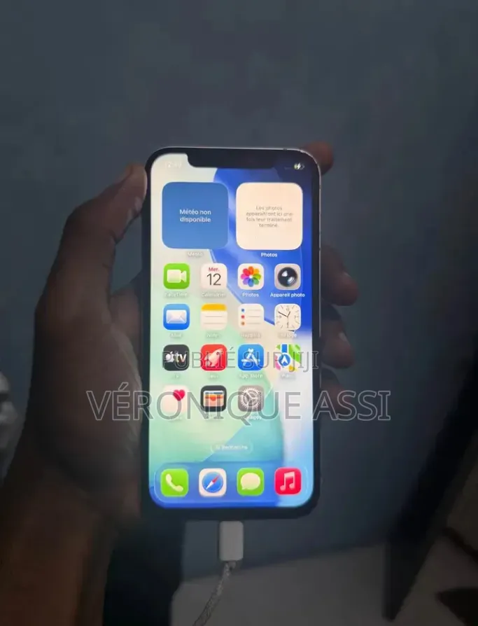 Nouveau Apple iPhone 12 Pro Max 256 GB Blanc