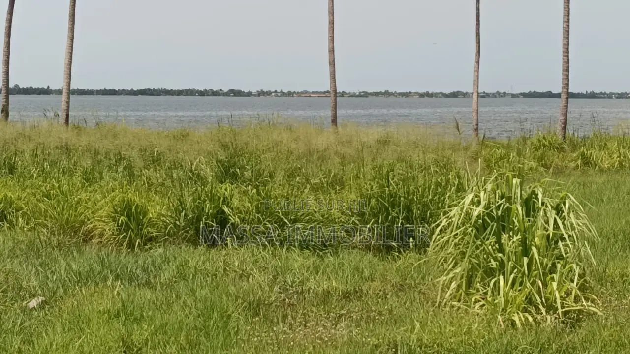 Vente Terrain Pieds Dans L’eau À Bingerville Machoux