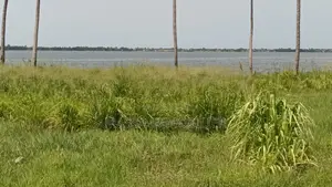 Vente Terrain Pieds Dans L’eau À Bingerville Machoux