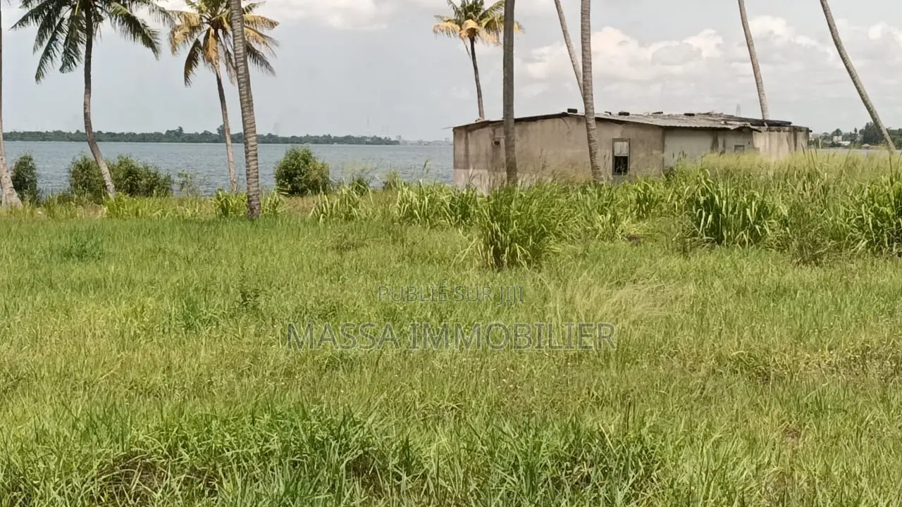 Vente Terrain Pieds Dans L’eau À Bingerville Machoux