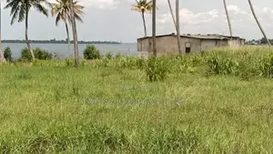 Vente Terrain Pieds Dans L’eau À Bingerville Machoux