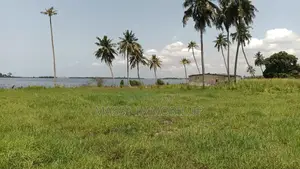 Vente Terrain Pieds Dans L’eau À Bingerville Machoux