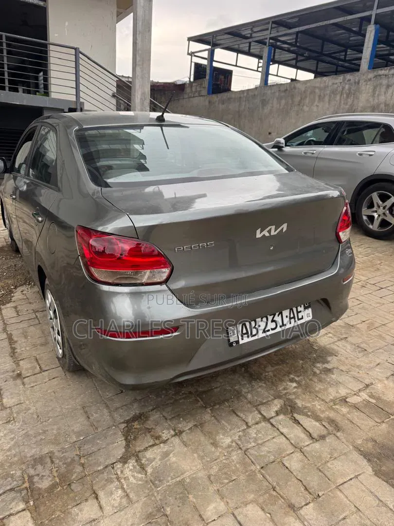 Kia Pegas 2023 Gris