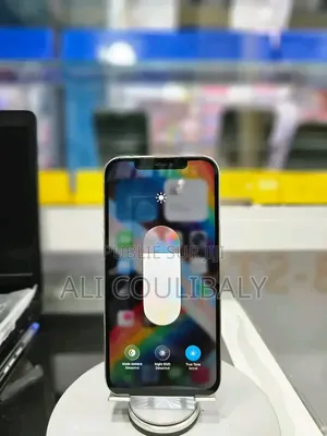 Nouveau Apple iPhone 12 Pro Max 512 GB Doré