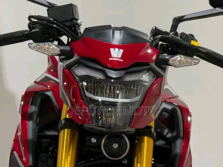 Nouveau Haojue DR300 2025 Rouge