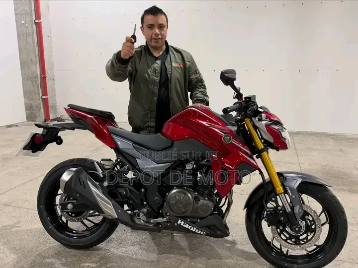 Nouveau Haojue DR300 2025 Rouge