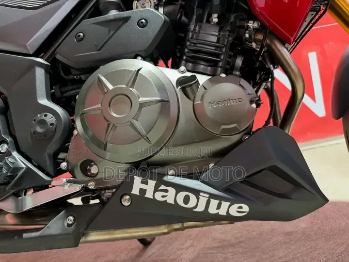 Nouveau Haojue DR300 2025 Rouge