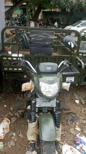 Apsonic AP125-30 2021 Vert