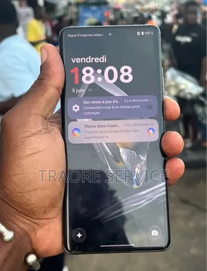 Nouveau OnePlus 12 512 GB Autre
