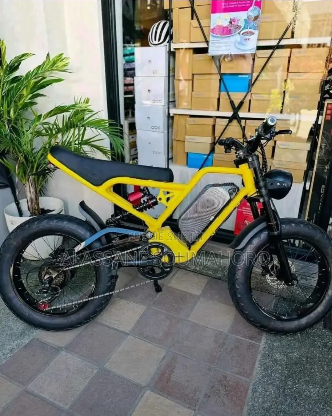 Vélo Électrique